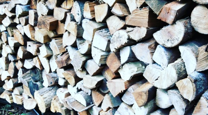 薪割り体験をログハウスkizukiで！