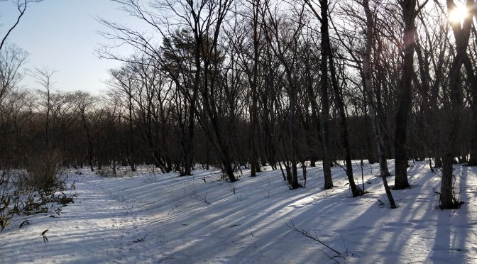 冬の那須を遊び尽くせ！