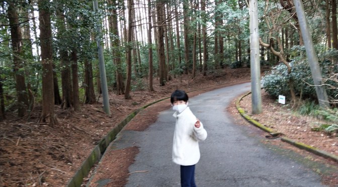 娘と二人暮らし。コテージひだまり