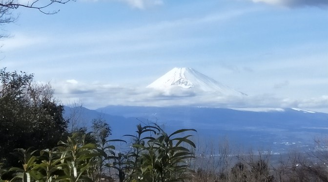 不要不急の外出。じゃぁ、田舎の別荘民泊でゆっくりと