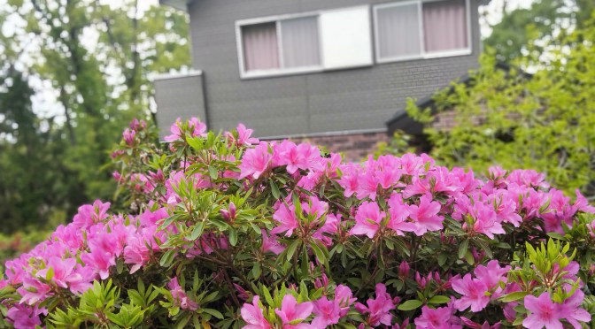 民泊運営の葛藤とこれから