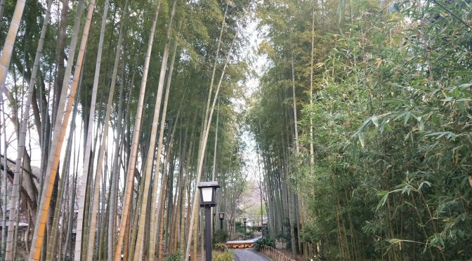 「逃げるは恥だが役に立つ」でガッキーが訪れた修善寺に行くならコテージひだまり！