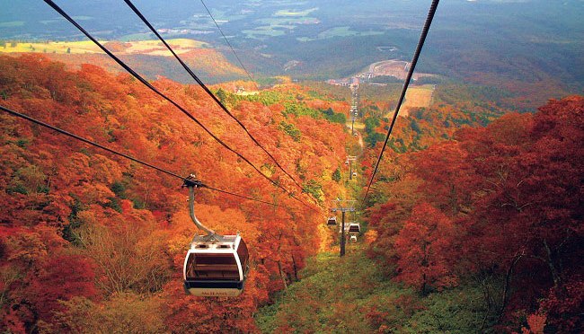 那須の紅葉は色んな表情を見せる！10月の那須を見逃すな！