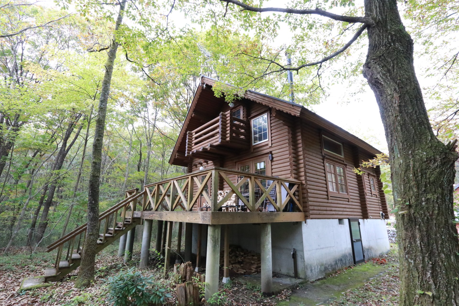 ハイジのログハウスがパワーアップ！GoToトラベルキャンペーンを使って