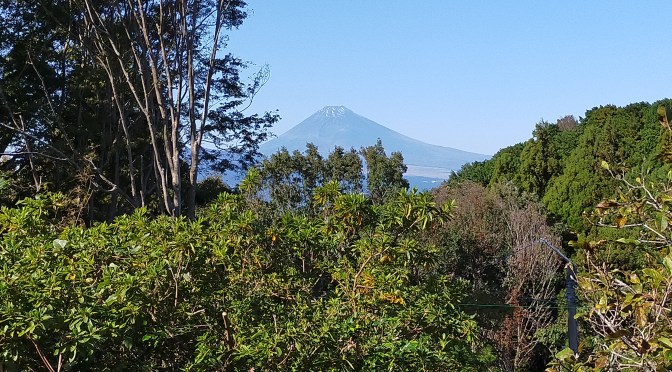 最高傑作の別荘民泊！コテージそらまど　伊豆の国市
