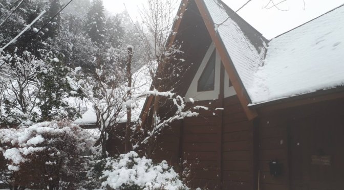 緊急事態宣言延長で予約が増えた？我慢の限界か？