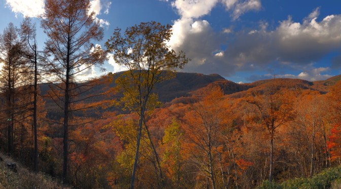 民泊管理会社の選び方