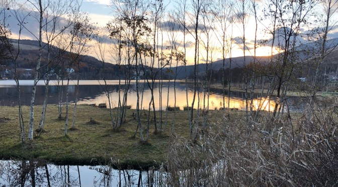 蓼科視察で、新たなビジネスモデルができるかも？