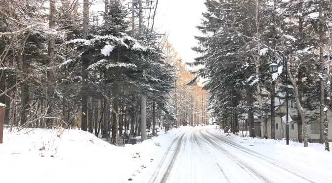 那須の冬をなめたらダメ！雪道に慣れていない無知な都会のお客様が道端で立ち往生している！ノーマルタイヤで来たら「死ぬよ」