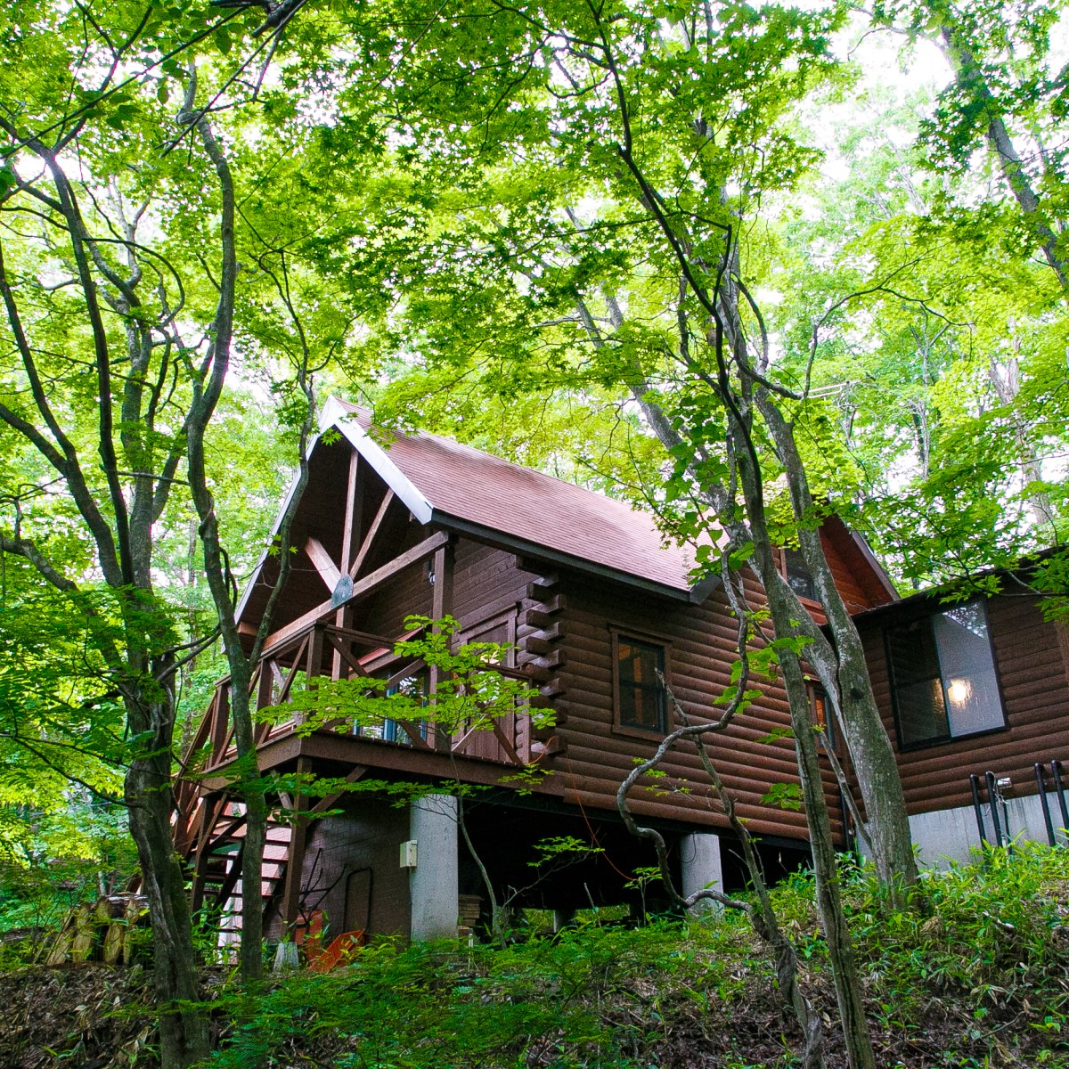 マツコの知らない世界！ありがとう！那須の世界で紹介されたまとめ