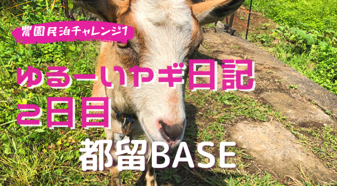 ヤギの飼い方。ゆる〜いヤギ日記。耕作放棄地でヤギを飼う