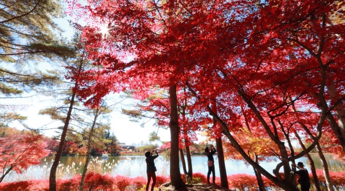ラリックス蓼科Villaから近い蓼科湖の紅葉が圧倒的に美しい！
