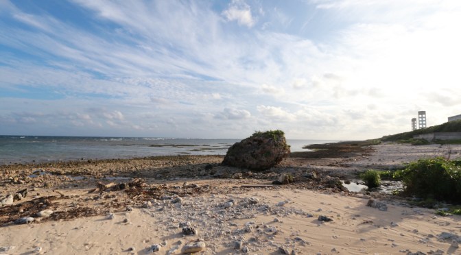 冬は石垣島でワーケーションって最高かよ！民泊プラスライフ大浜1号室or2号室でテレワークやってみた！